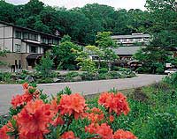 蔦温泉旅館
