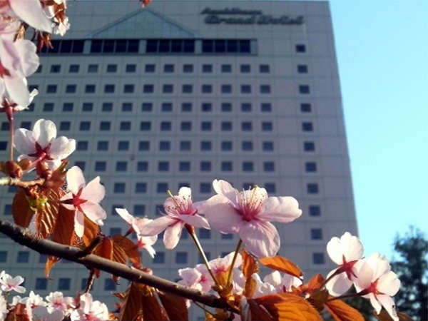 OMO7旭川 by 星野リゾート(北海道 旭川) 写真ライブラリ 【近畿日本ツーリスト】