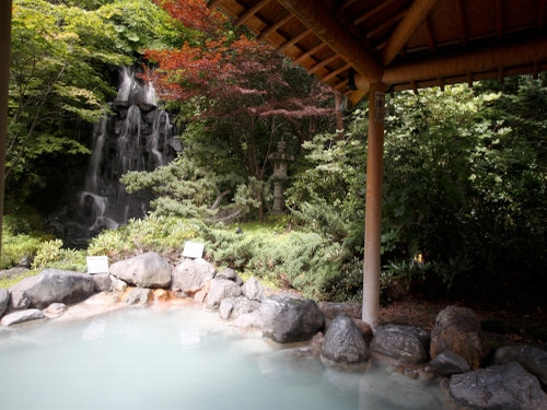庭園風露天風呂と３種の泉質が人気の宿 ☆☆北海道に泊まろう（道央）☆☆ 本館 和室【バイキング】