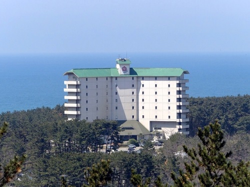 全景