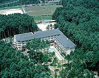全景