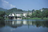 全景