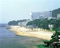 全景