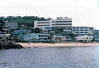 全景