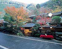 全景