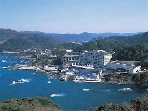 全景