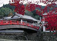 全景