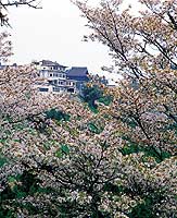 湯元 宝の家（奈良 吉野山） 写真ライブラリ 【近畿日本ツーリスト】