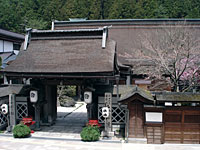 全景（大円院表門）