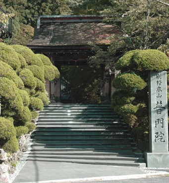 全景の一例