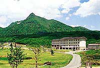 全景