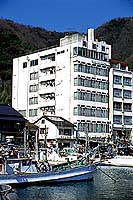 全景