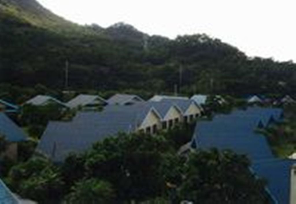 【お得に行こう！どの便選んでも割増なし！自然豊かな「東洋のガラパゴス」で過ごそう！】九州離島旅 奄美大島＆徳之島 3