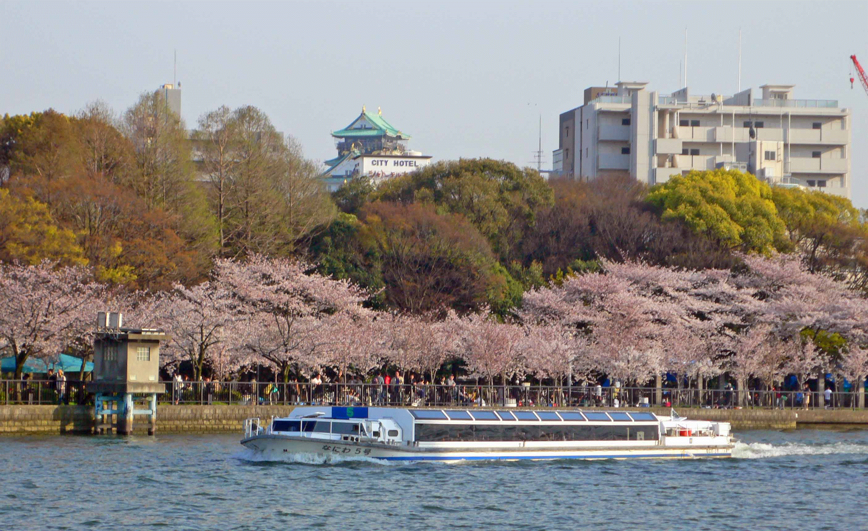 現地観光付 ホテル関西泊 春の風物詩大川桜クルーズと大阪満喫の旅 2日間 近畿日本ツーリスト