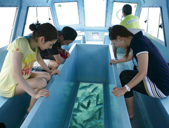 感動楽園沖縄 1名様から申込ｏｋ 沖縄美ら海水族館 おきなわワールドなど沖縄の定番観光地の入場券付 観光をらくらく楽しみたい方におすすめ お客様のペースでのんびりと 貸切タクシーでめぐる 沖縄本島周遊 3日間 近畿日本ツーリスト