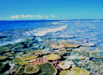 八重干瀬 旅行 ツアー 近畿日本ツーリスト