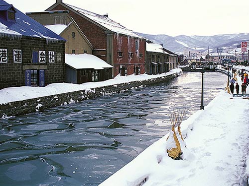 現地観光付プラン 星野リゾートの霧氷テラスで冬の絶景体験 絵になる街 小樽 への観光バス付プラン 新千歳空港発着のバス付なので安心楽々 星野リゾート トマムザ タワー 札幌東急ｒｅｉホテルに泊まる 4日間 近畿日本ツーリスト